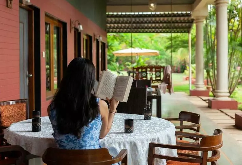 Mountain S Edge By Stayvista   Mountain View Villa With Chic Interiors, Verandah, And Indoor Activit