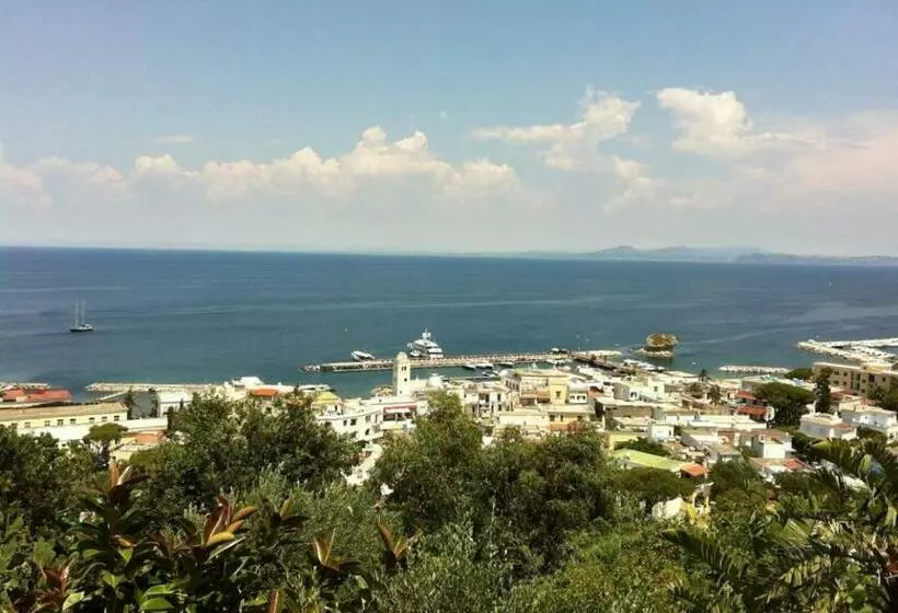 Ariosetto