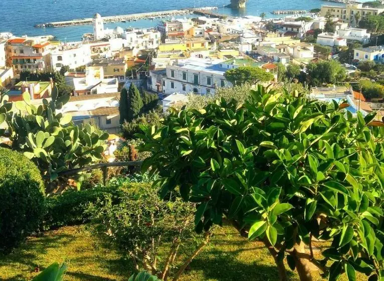 Ariosetto