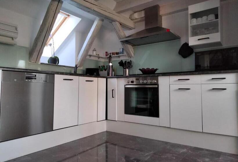 Dachgeschosswohnung 15min Vom Europa Park Entfernt