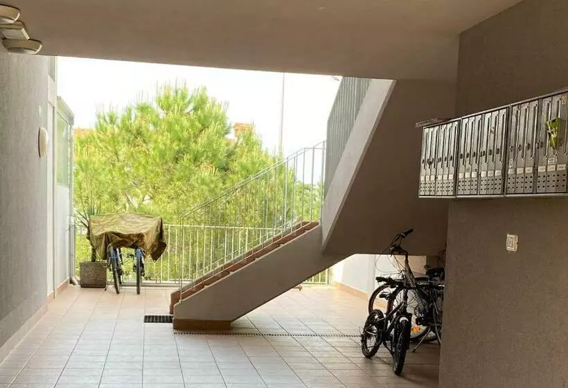 Florida Apartment