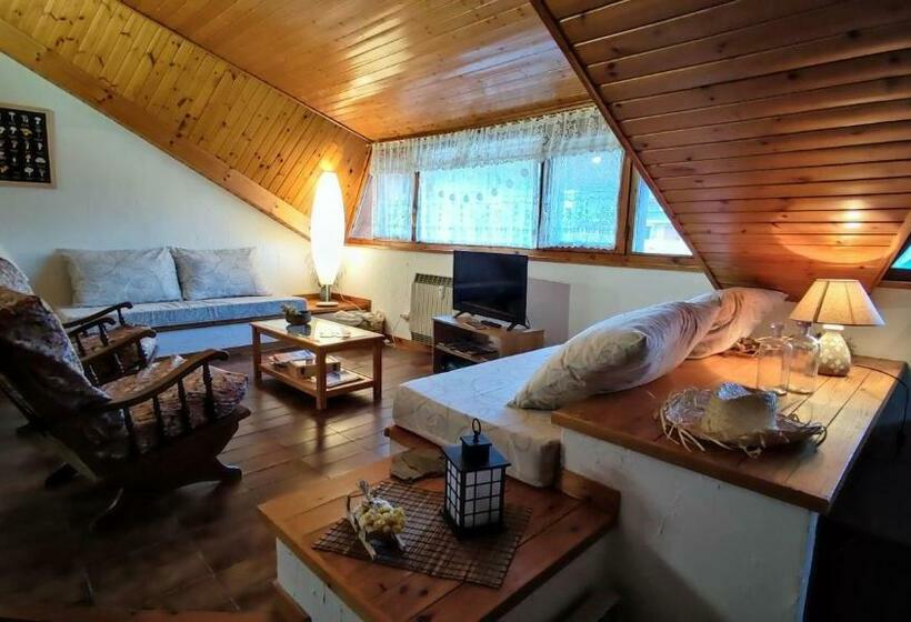 Apartamento Muy Céntrico Con Vistas   El Niuet De Sort