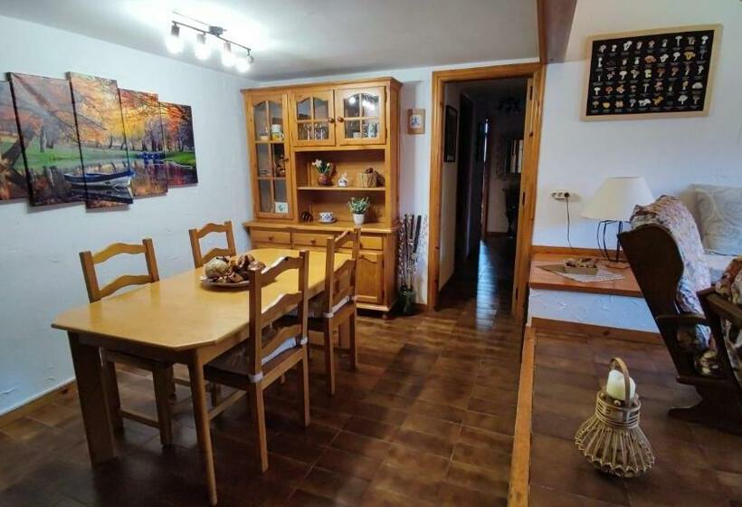 Apartamento Muy Céntrico Con Vistas   El Niuet De Sort
