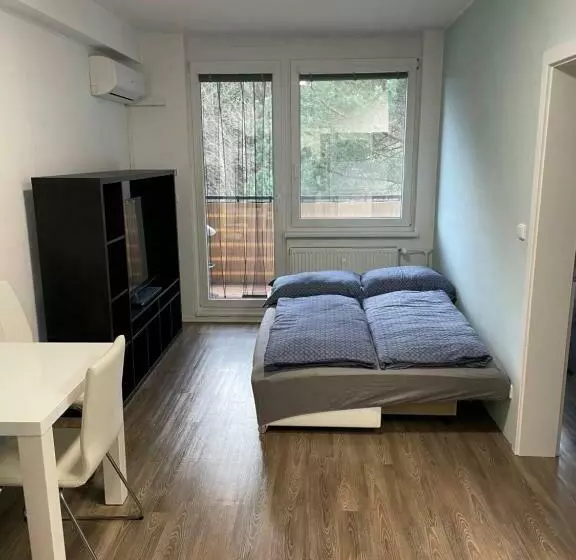 Všemina Apartmán 31