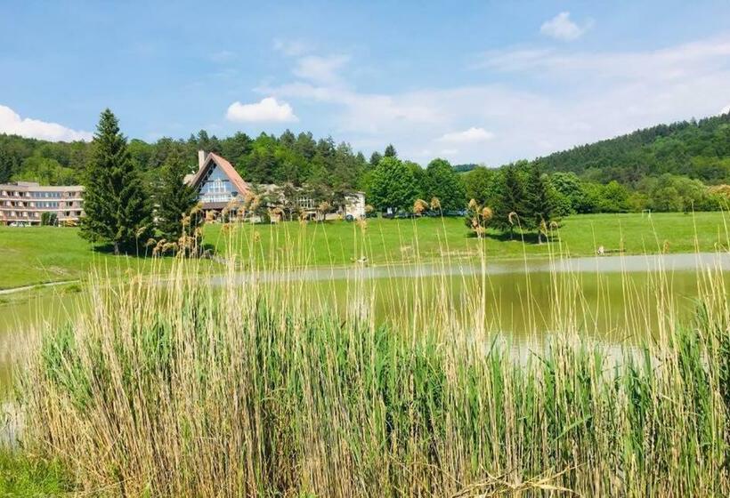 Všemina Apartmán 31