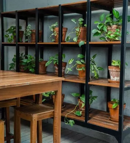 هتل Pleno Palermo Soho