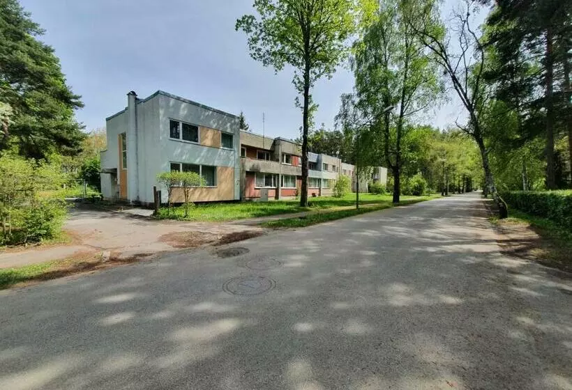 Before Reconstruction Chance