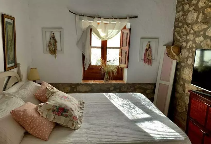 Casa Tatisita Family