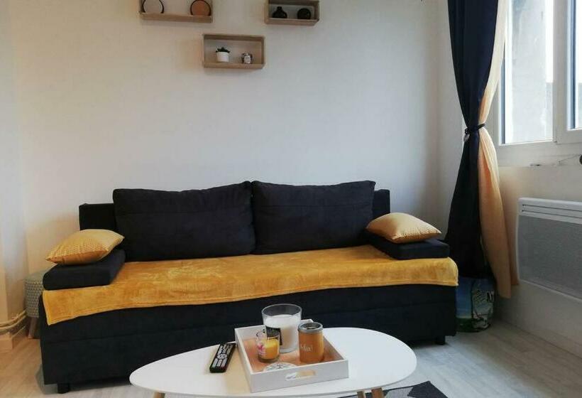 Studio Lumineux Plein De Charme