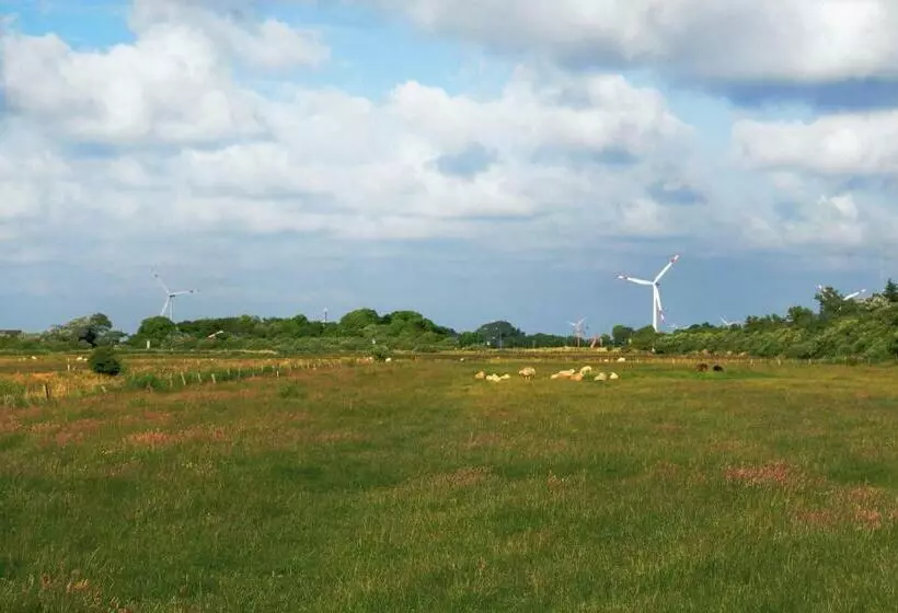 3 Bedroom Beautiful Home In Dagebüll