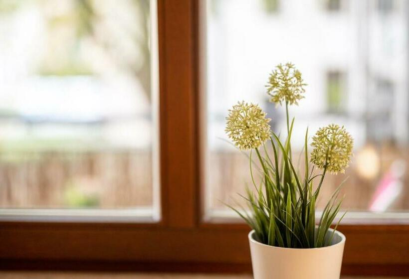 Große Altstadtwohnung Im Zentrum, Mit Balkon, Top Lage, 4 Schlafplätzen