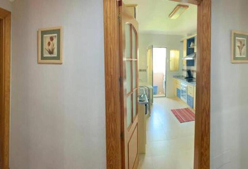 Apartamentos San Miguel 2