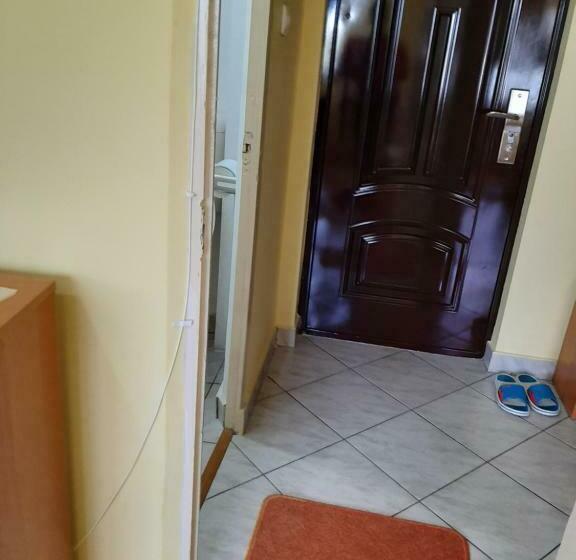 Garsonieraanica Felix