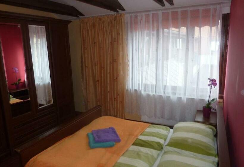 Luxury Large Apartment 21