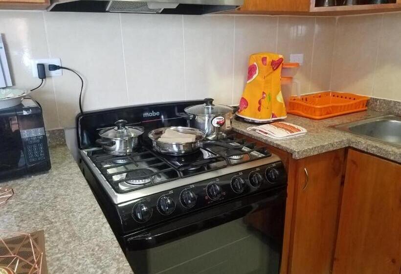 Moderno Apartamento En Santiago Rd