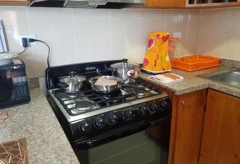 Moderno Apartamento En Santiago Rd