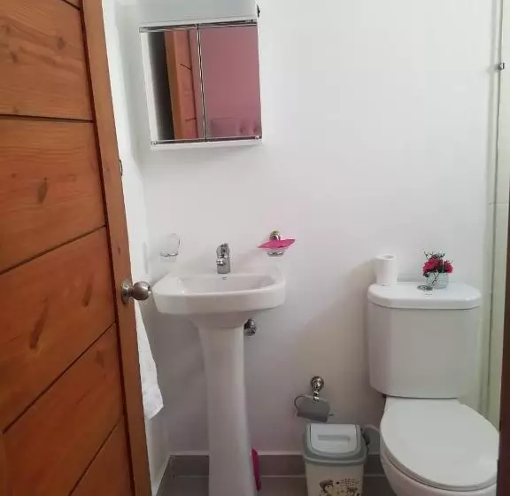 Moderno Apartamento En Santiago Rd