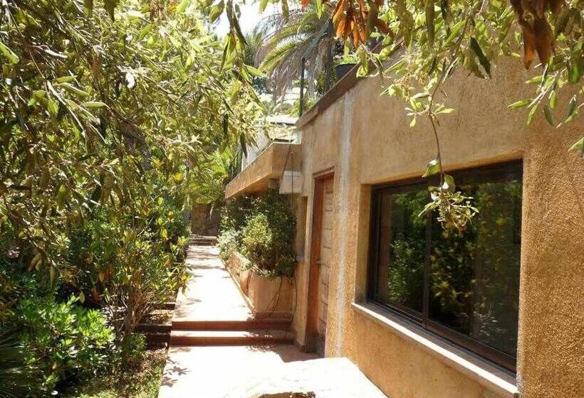 Primera Linea Piscina Jacuzzi Y Playa Privada