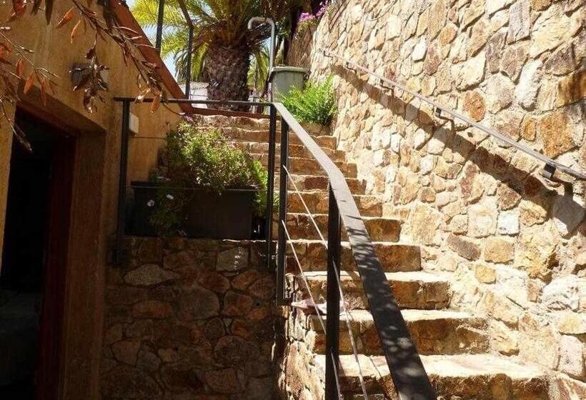 Primera Linea Piscina Jacuzzi Y Playa Privada