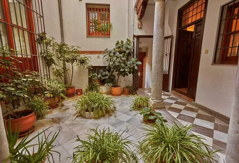 Spacious, Sunny And Quiet Albayzin Apartment