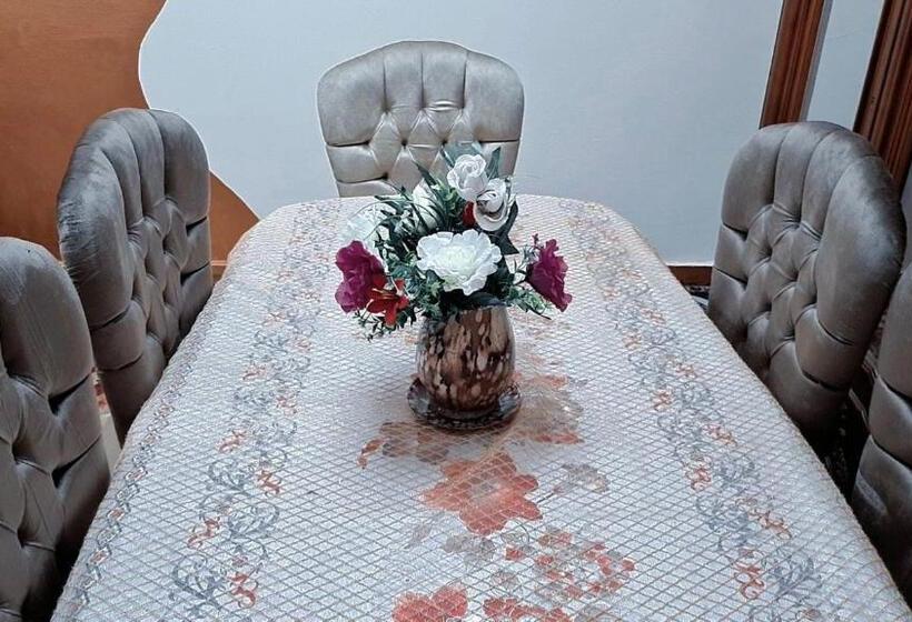 Star House City Stars