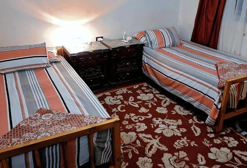 Star House City Stars