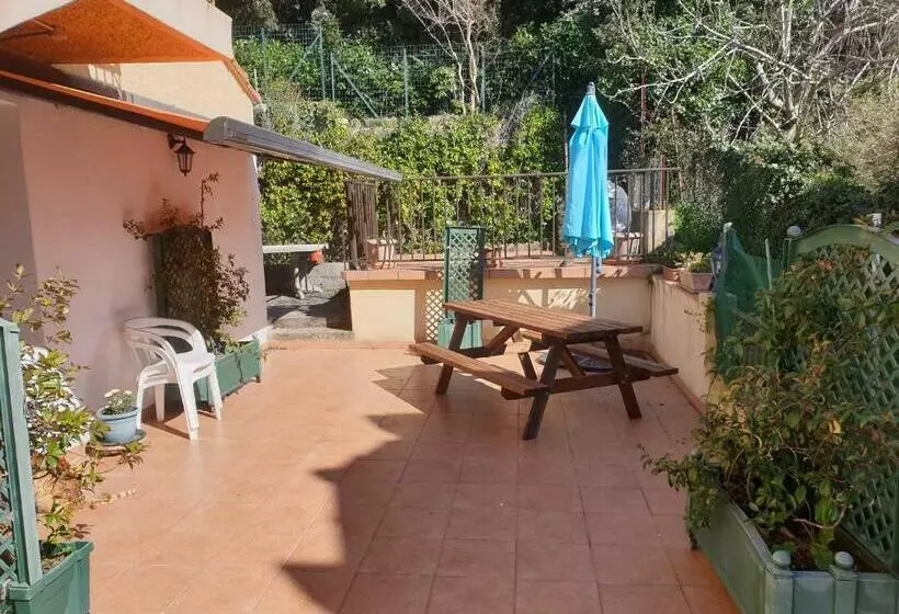 Beau F4 Petreto Bicchisano