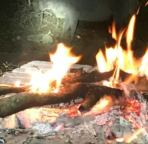 Kruger Wild Dog Inn