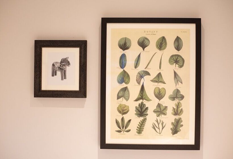 ホテル Albert Arms