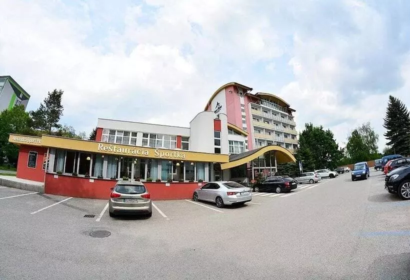 酒店 Alexandra šport