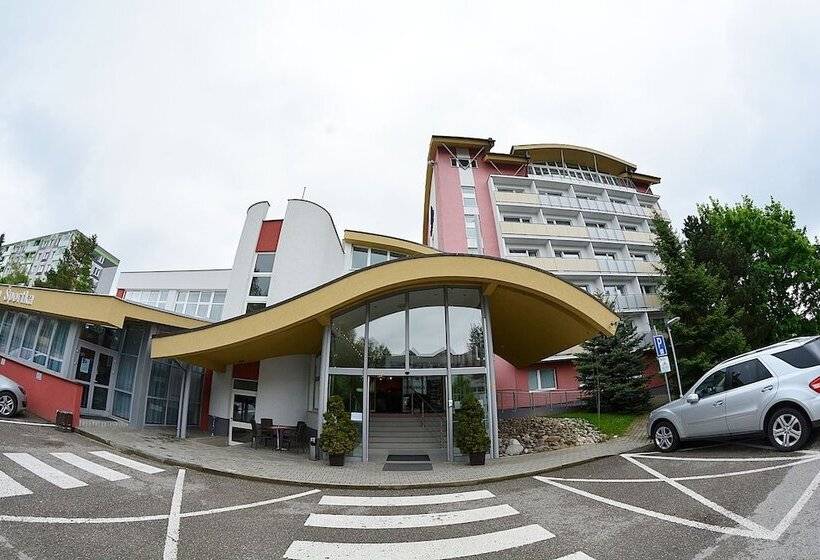 בית מלון כפרי Alexandra šport