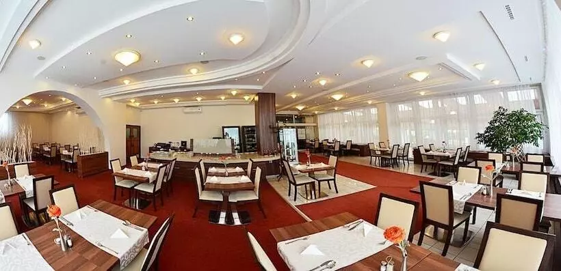 酒店 Alexandra šport