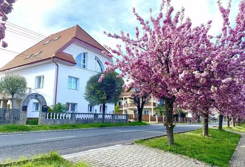 בית מלון כפרי Amadeus Villa