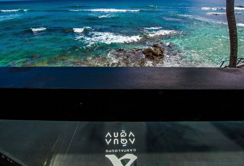 בית מלון כפרי Cantaloupe Aqua