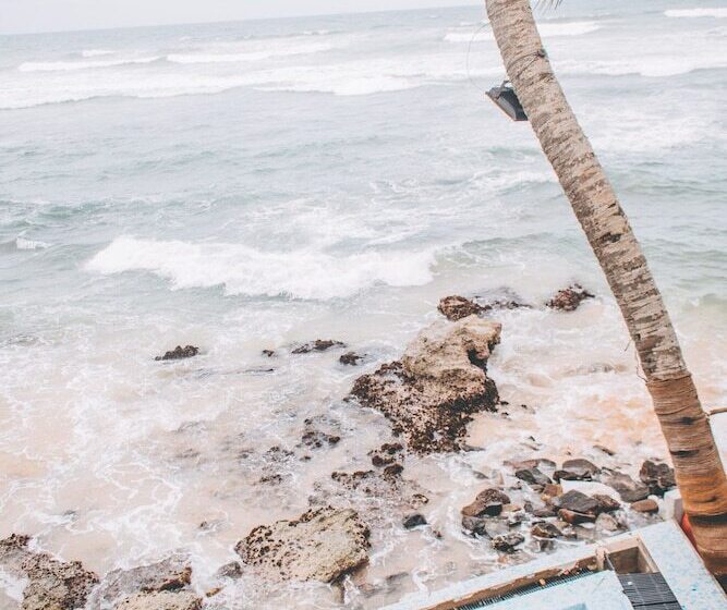 בית מלון כפרי Cantaloupe Aqua