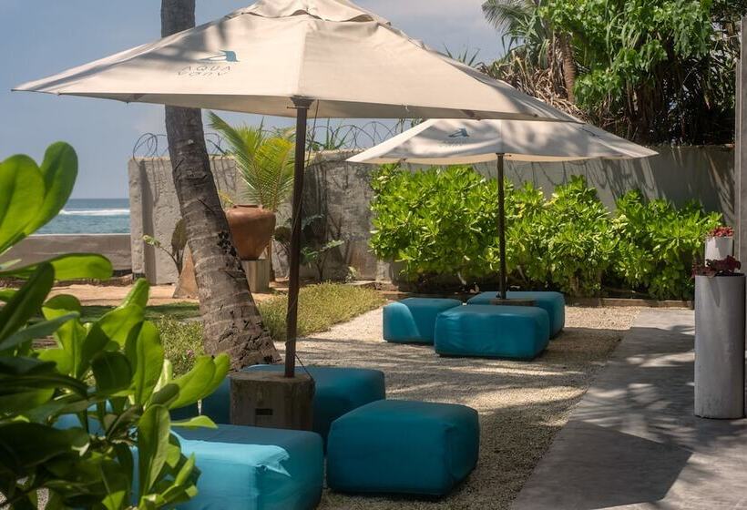 בית מלון כפרי Cantaloupe Aqua