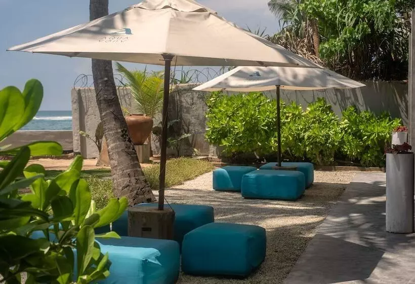 호텔 Cantaloupe Aqua