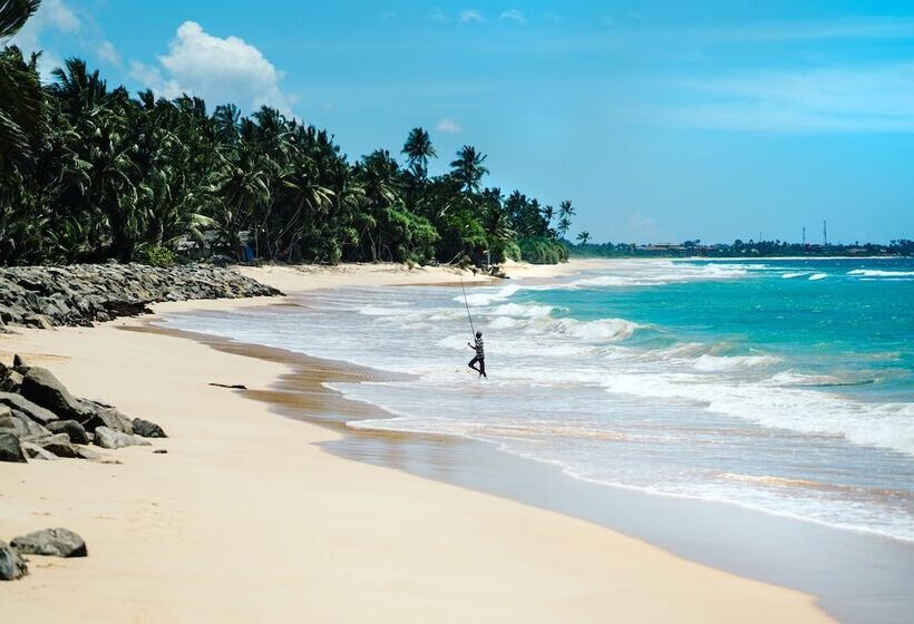 בית מלון כפרי Cantaloupe Aqua