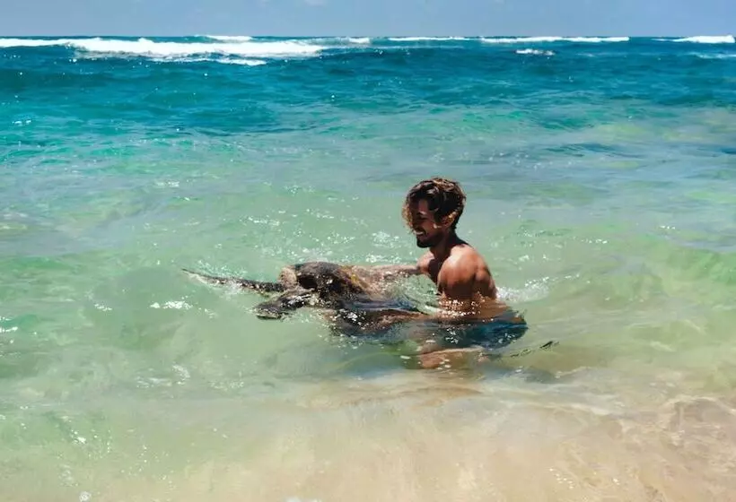 호텔 Cantaloupe Aqua