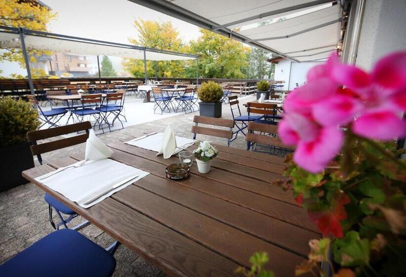 هتل Falknerei Galina