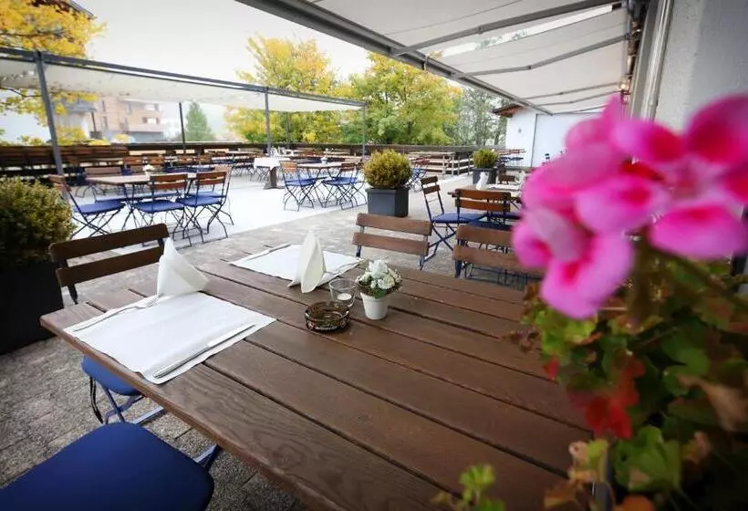 هتل Falknerei Galina