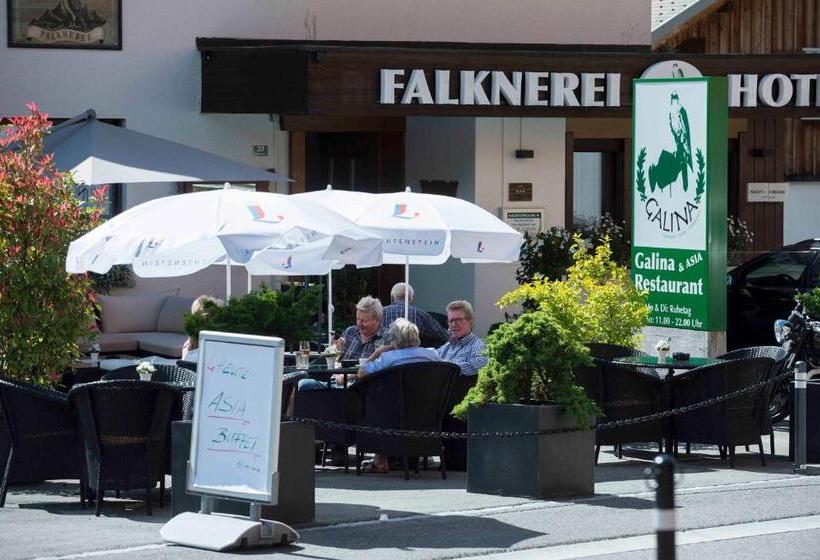 هتل Falknerei Galina