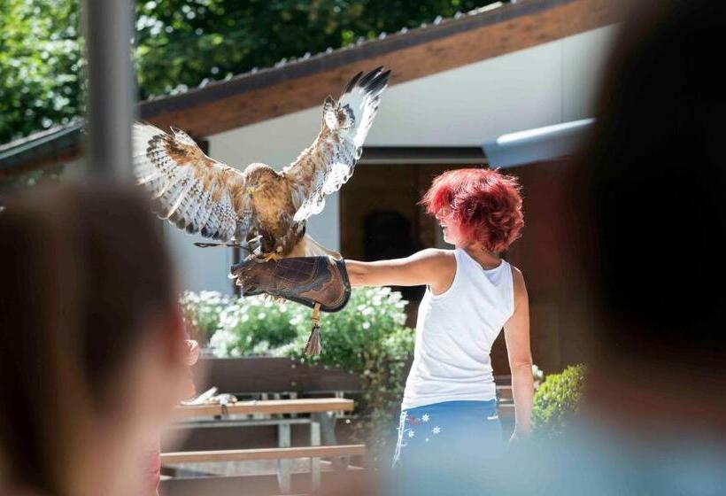 هتل Falknerei Galina