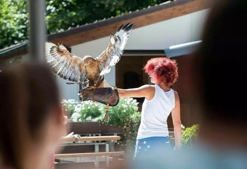 هتل Falknerei Galina