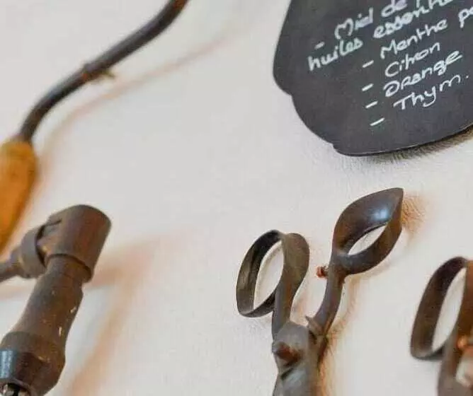 Hotel Logis Hôtel Restaurant Le Vieux Fusil