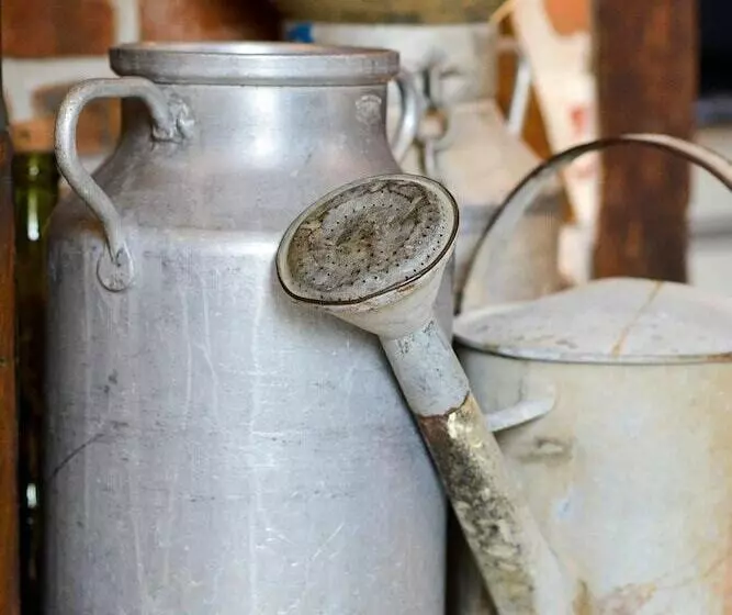 Hotel Logis Hôtel Restaurant Le Vieux Fusil