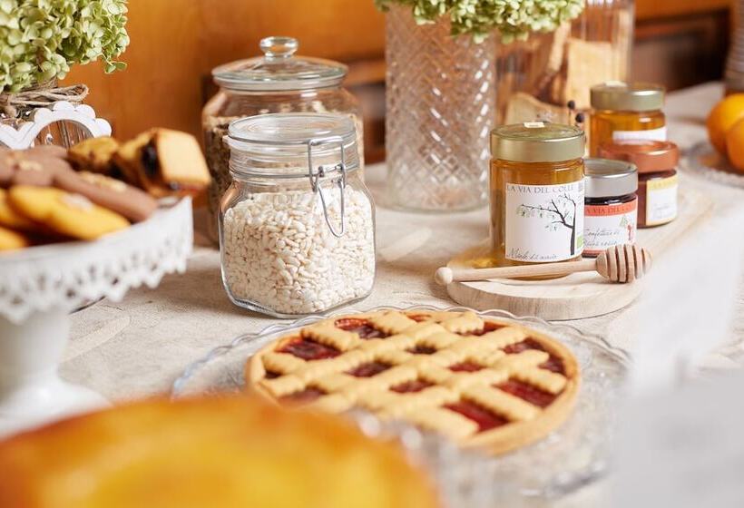 בית מלון כפרי Panorama