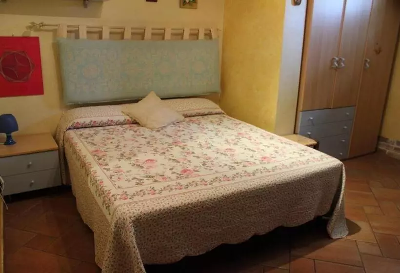 B&b Chorisia