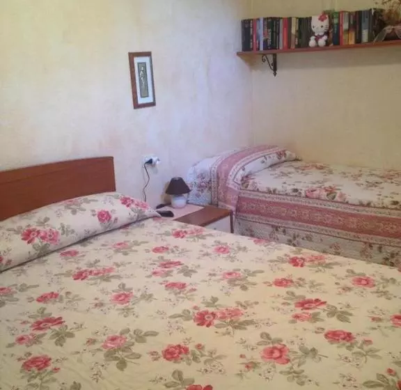 B&b Chorisia