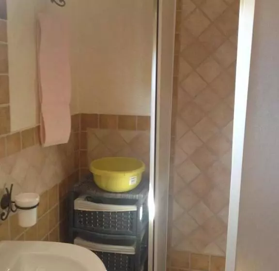 B&b Chorisia